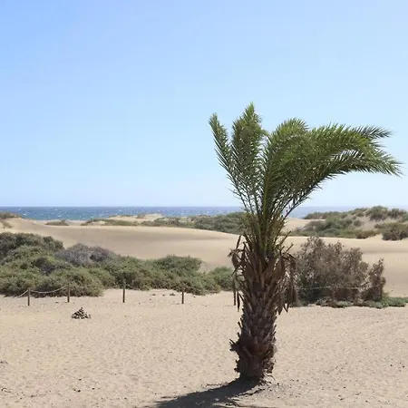 Cosy Upgraded - 1 Bedroom Apartment, Juncos