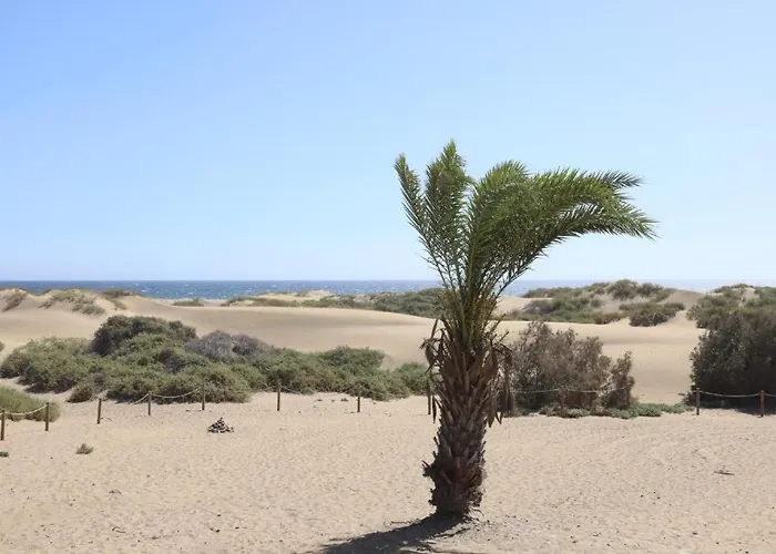 Cosy Upgraded - 1 Bedroom Apartment, Juncos